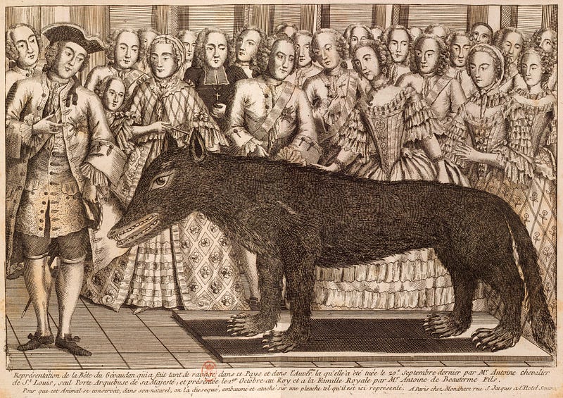 Wolf of Chazes, shot by M. François Antoine de Beauterne in 1765, displayed at the court of Louis XV.