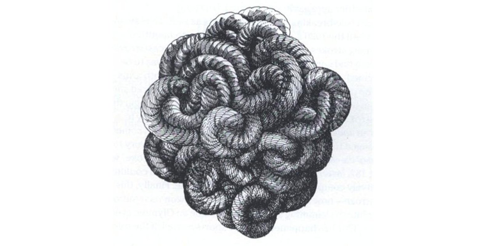 image from The Gordian knot called "The Oracle Problem"